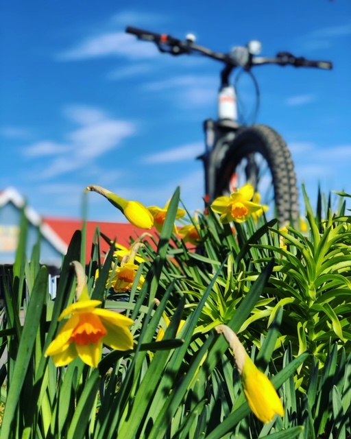 schutzblech 20 zoll liegerad Fahrrad Schutzblechset 20
